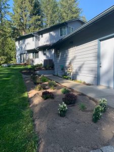 Residential Landscaping Clean Up Service In Mill Creek